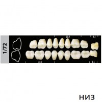 Зубы Super Lux 1/72 жевательный низ, 8 шт.