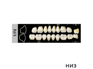 Зубы Super Lux 1/72 жевательный низ, 8 шт.