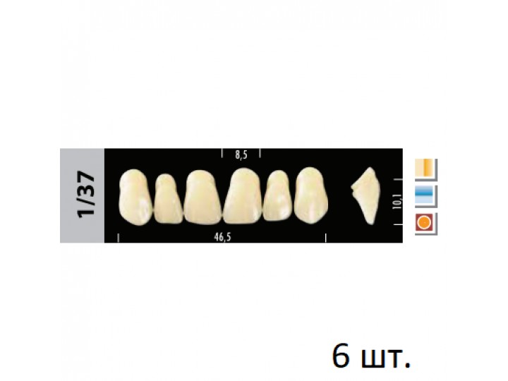 Зубы Super Lux 1/37 фронтальный верх, 6 шт.