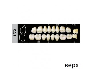 Зубы Super Lux 1/72 жевательный верх, 8 шт.