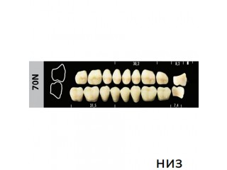 Зубы Super Lux 70N жевательный низ, 8 шт.