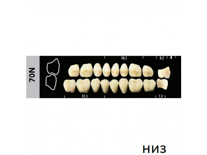 Зубы Super Lux 70N жевательный низ, 8 шт.