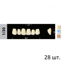 Зубы Super Lux 1/30 полный гарнитур, 28 шт.
