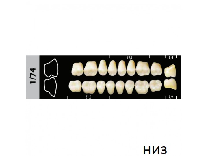 Зубы Super Lux 1/74 жевательный низ, 8 шт.