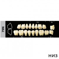 Зубы Super Lux 79N жевательный низ, 8 шт.