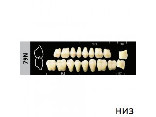 Зубы Super Lux 79N жевательный низ, 8 шт.
