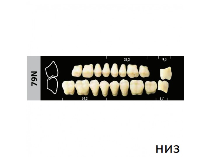 Зубы Super Lux 79N жевательный низ, 8 шт.