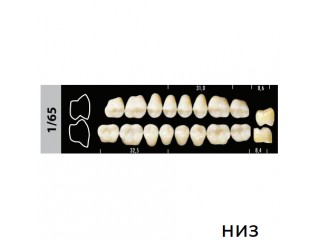 Зубы Super Lux 1/65 жевательный низ, 8 шт.