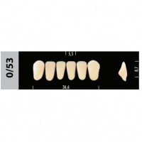Зубы Super Lux 0/53фронтальный низ, 6 шт.