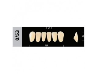 Зубы Super Lux 0/53фронтальный низ, 6 шт.