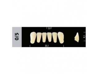 Зубы Super Lux 0/5 фронтальный низ, 6 шт.