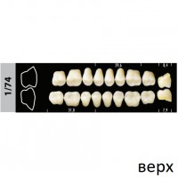 Зубы Super Lux 1/74 жевательный верх, 8 шт.