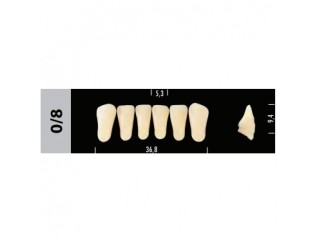 Зубы Super Lux 0/8 фронтальный низ, 6 шт.