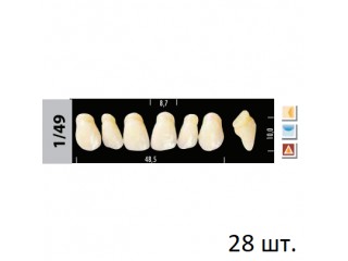 Зубы Super Lux 1/49 полный гарнитур, 28 шт.