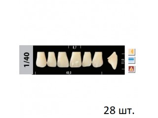 Зубы Super Lux 1/40 полный гарнитур, 28 шт.