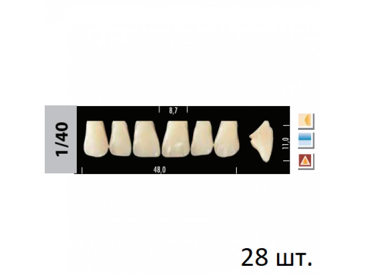 Зубы Super Lux 1/40 полный гарнитур, 28 шт.