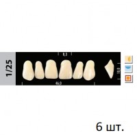 Зубы Super Lux 1/25 фронтальный верх, 6 шт.
