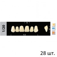 Зубы Super Lux 1/20 полный гарнитур, 28 шт.