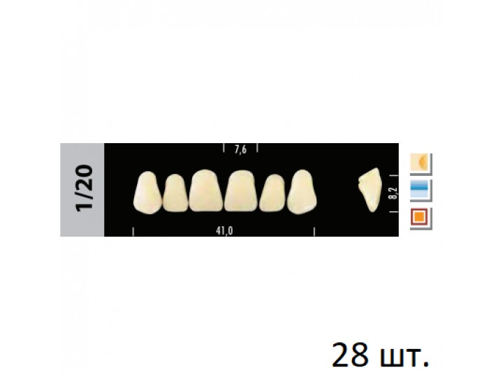 Зубы Super Lux 1/20 полный гарнитур, 28 шт.