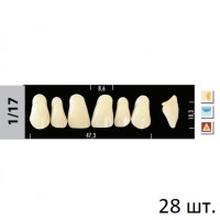 Зубы Super Lux 1/17 полный гарнитур, 28 шт.
