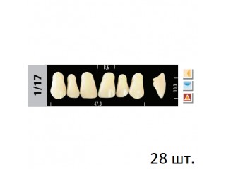 Зубы Super Lux 1/17 полный гарнитур, 28 шт.