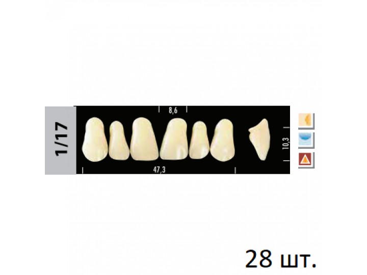 Зубы Super Lux 1/17 полный гарнитур, 28 шт.