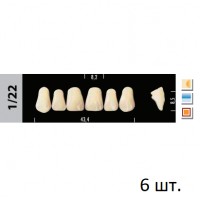 Зубы Super Lux 1/22 фронтальный верх, 6 шт.
