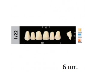 Зубы Super Lux 1/22 фронтальный верх, 6 шт.