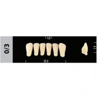 Зубы Super Lux 0/3 фронтальный низ, 6 шт.