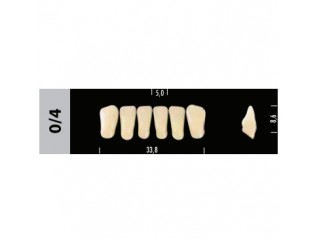 Зубы Super Lux 0/4 фронтальный низ, 6 шт.