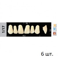 Зубы Super Lux 1/17 фронтальный верх, 6 шт.