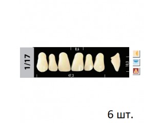 Зубы Super Lux 1/17 фронтальный верх, 6 шт.