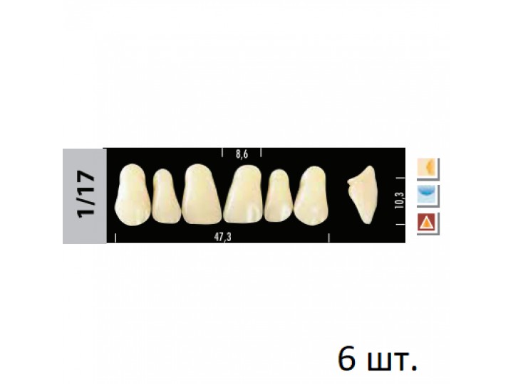 Зубы Super Lux 1/17 фронтальный верх, 6 шт.
