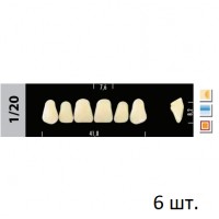 Зубы Super Lux 1/20 фронтальный верх, 6 шт.