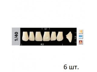 Зубы Super Lux 1/40 фронтальный верх, 6 шт.