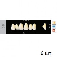 Зубы Super Lux 50 фронтальный верх