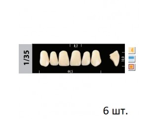Зубы Super Lux 1/35 фронтальный верх, 6 шт.