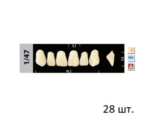 Зубы Super Lux 1/47 полный гарнитур, 28 шт.