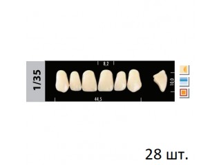 Зубы Super Lux 1/35 полный гарнитур, 28 шт.