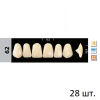 Зубы Super Lux 62 полный гарнитур, 28 шт.