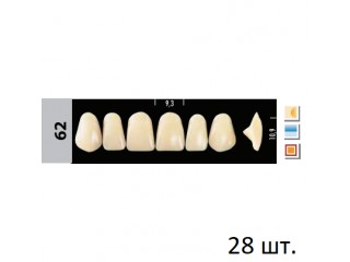 Зубы Super Lux 62 полный гарнитур, 28 шт.
