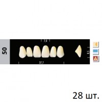 Зубы Super Lux 50 полный гарнитур, 28 шт.