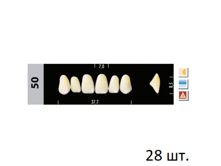 Зубы Super Lux 50 полный гарнитур, 28 шт.