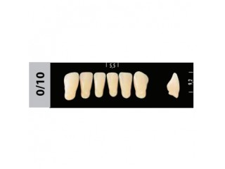 Зубы Super Lux 0/10 фронтальный низ, 6 шт.