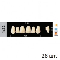 Зубы Super Lux 1/22 полный гарнитур, 28 шт.