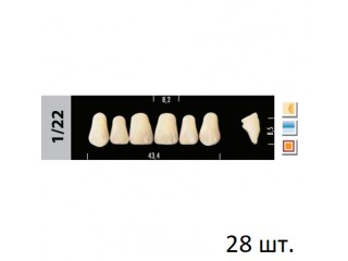 Зубы Super Lux 1/22 полный гарнитур, 28 шт.