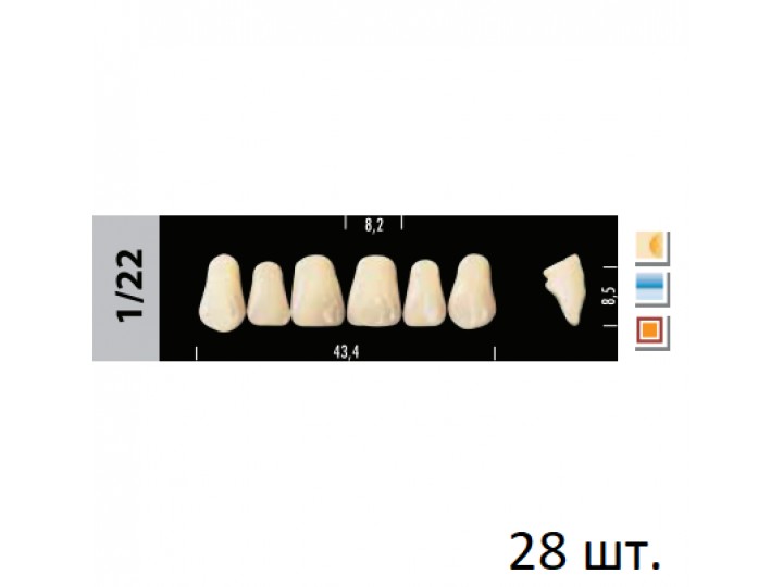 Зубы Super Lux 1/22 полный гарнитур, 28 шт.
