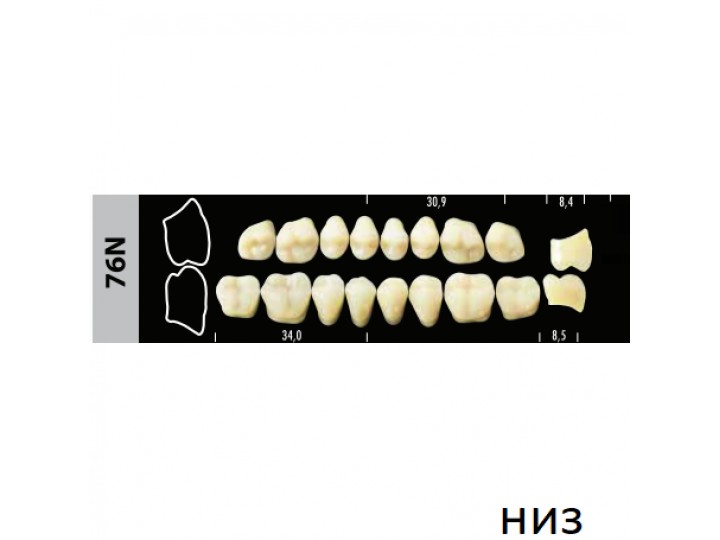 Зубы Super Lux 76N жевательный низ, 8 шт.