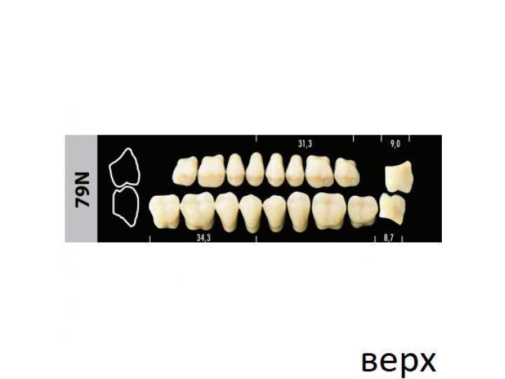 Зубы Super Lux 79N жевательный верх, 8 шт.