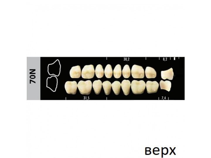 Зубы Super Lux 70N жевательный верх, 8 шт.